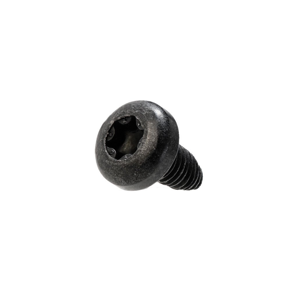 Screw for ConnectModule - 1x screw M4x12, Torx T20 - Smart System