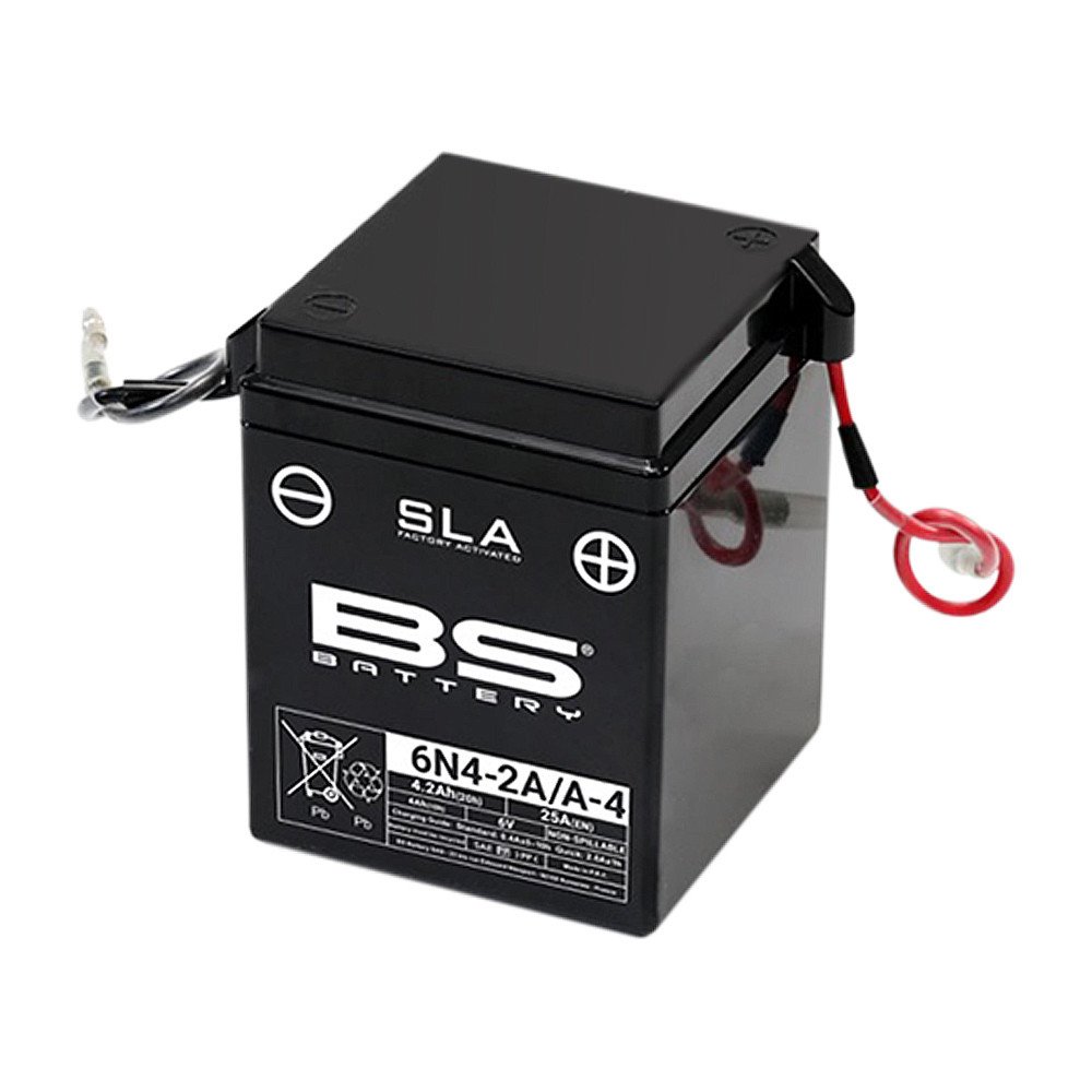 Batteria BS sla 6N4-2A/A-4