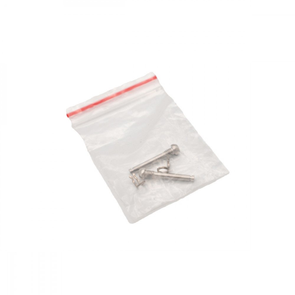 PINS FOR PADS FIXING (1 PAIR) - F.I.R.S.T.