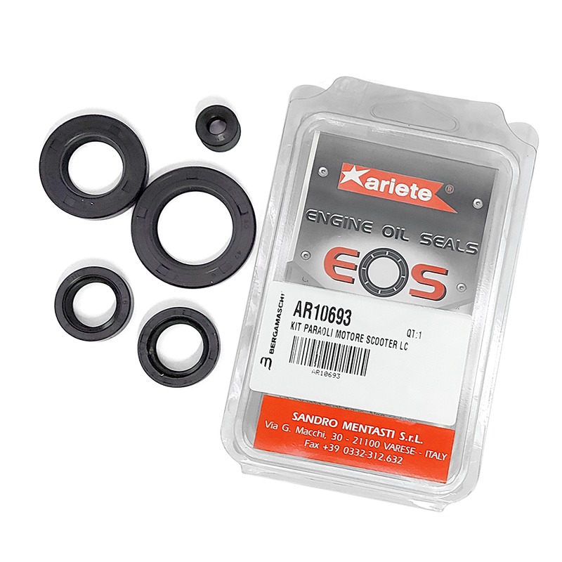 Oil seal kit