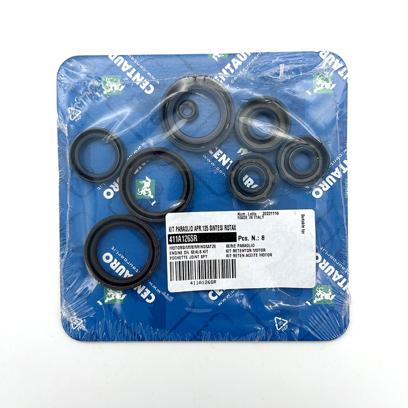 OIL SEALS KIT