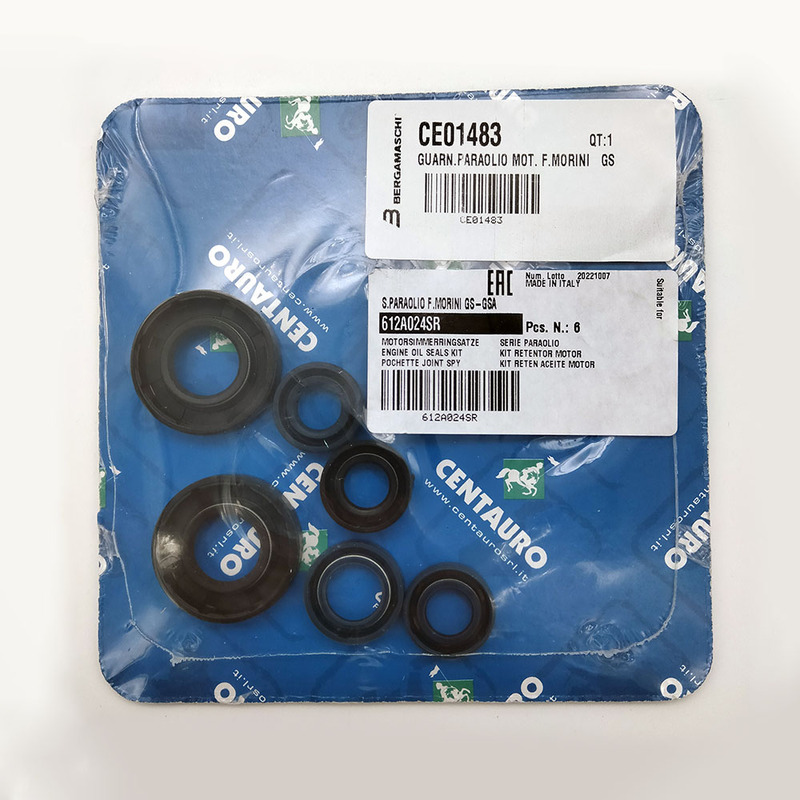 OIL SEALS KIT