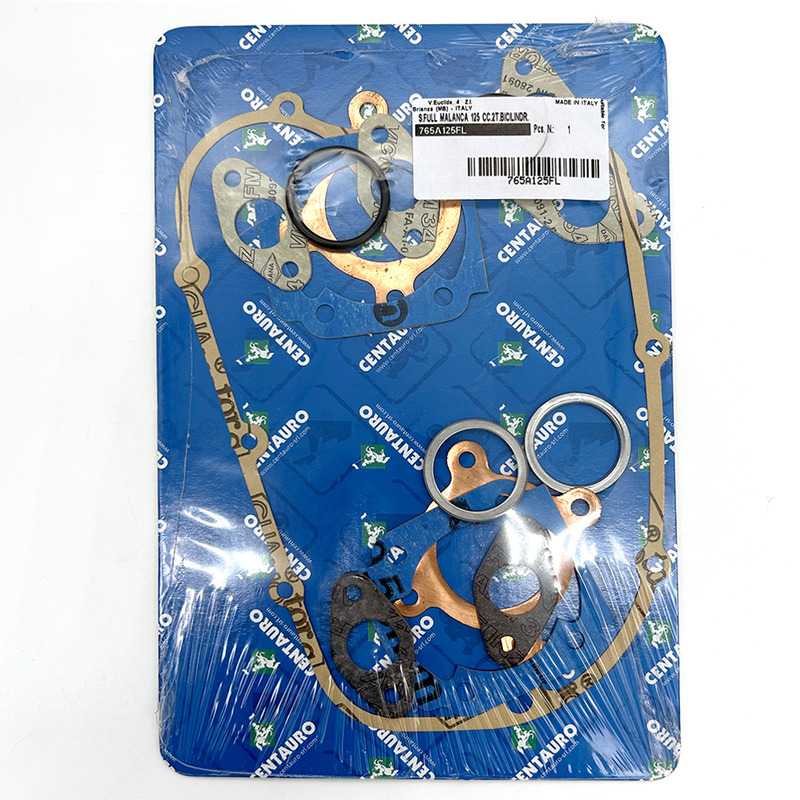 OIL SEALS KIT