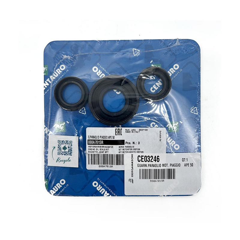 OIL SEALS KIT