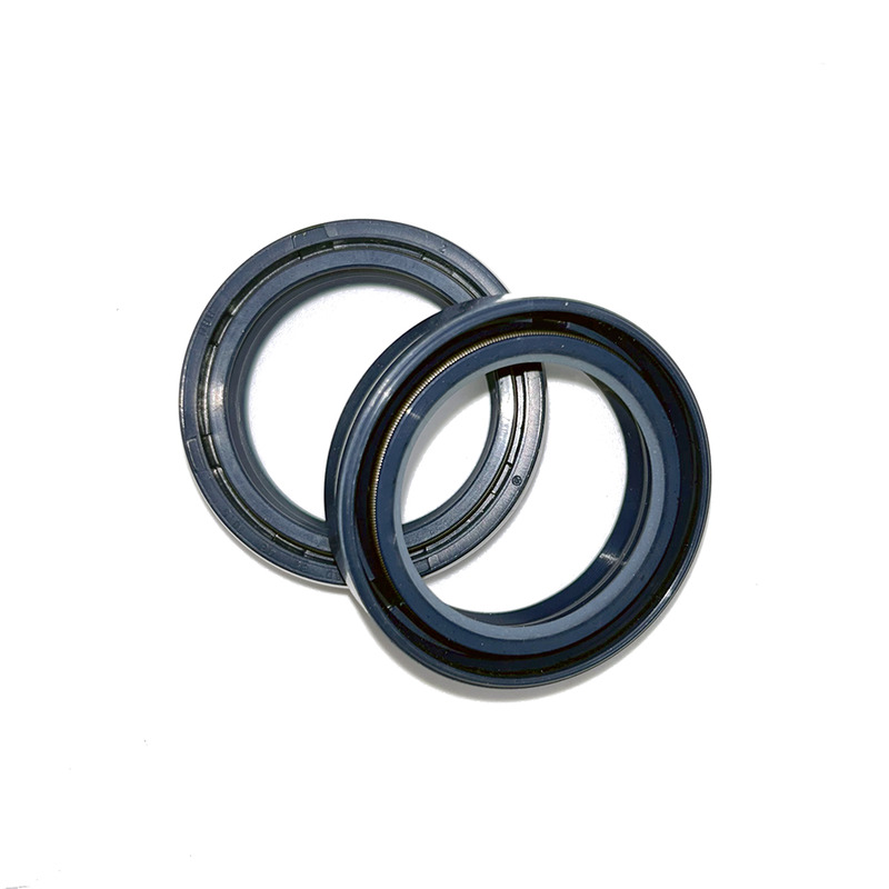 FORK OIL SEALS KIT