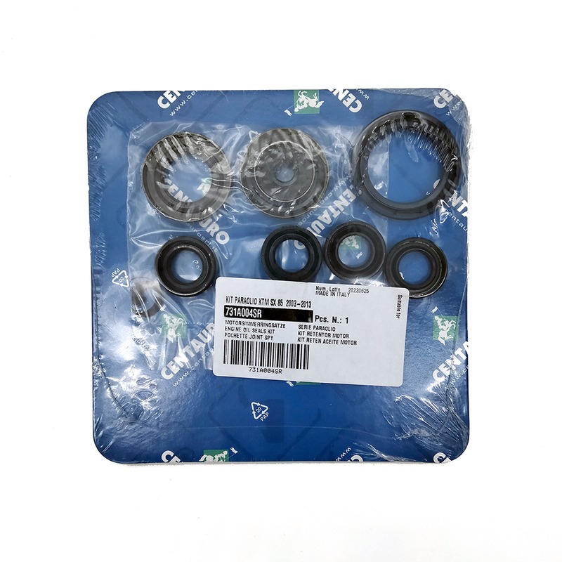 OIL SEALS KIT