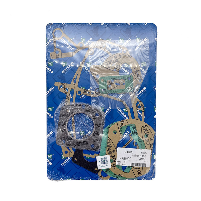 OIL SEALS KIT