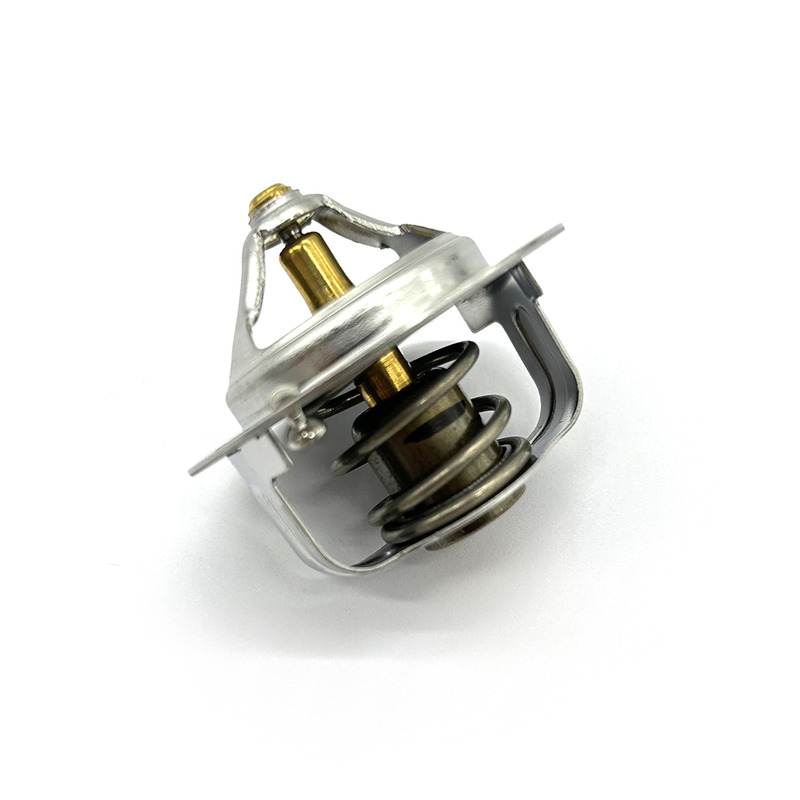 THERMOSTAT ASSY