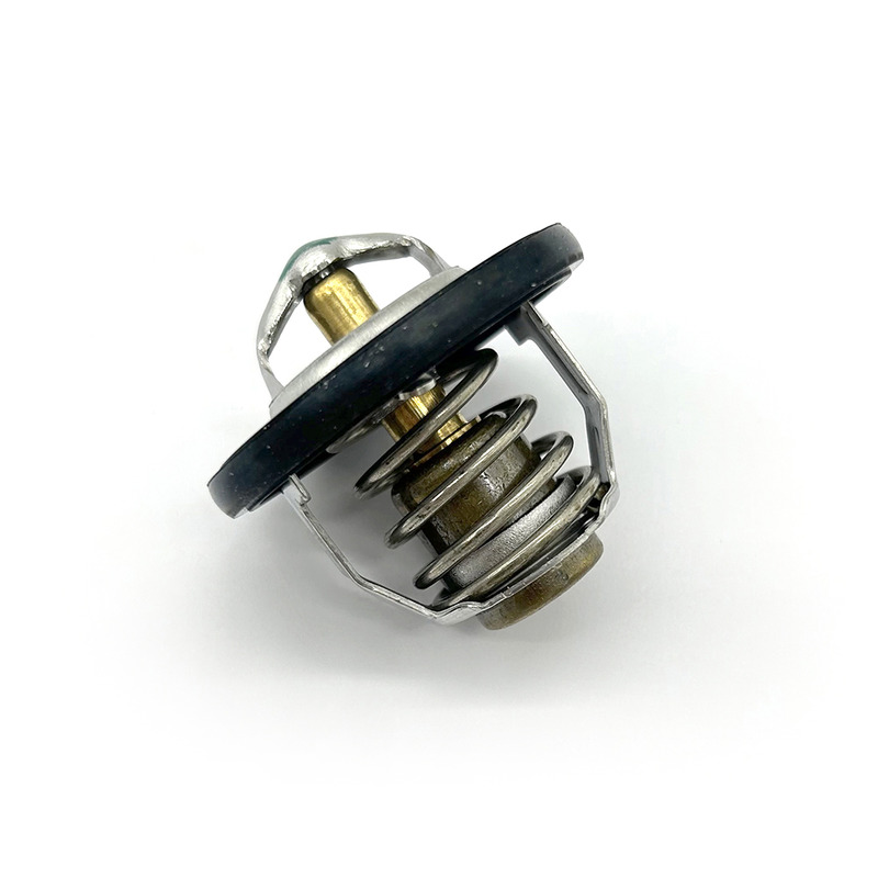 THERMOSTAT ASSY