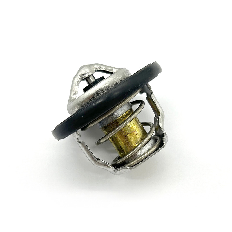 THERMOSTAT ASSY