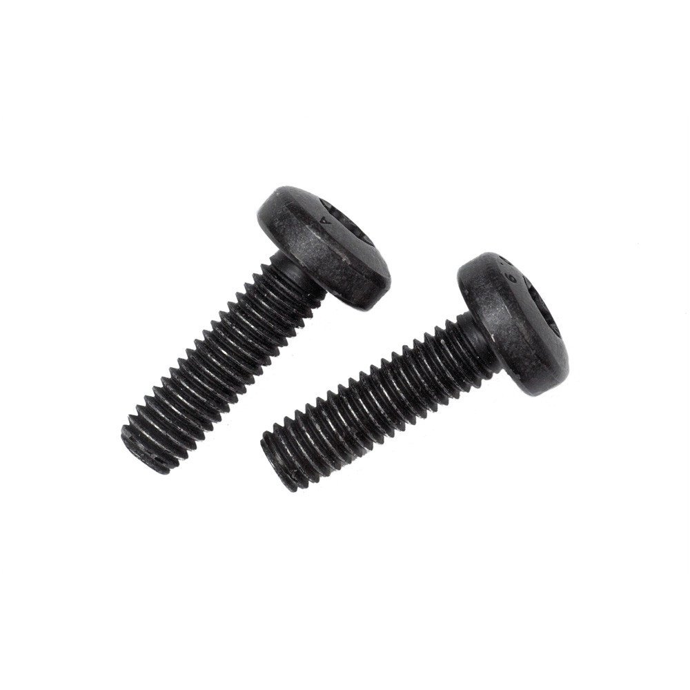  Drive Unit Screw Set, M6x20, T30, 2 pieces