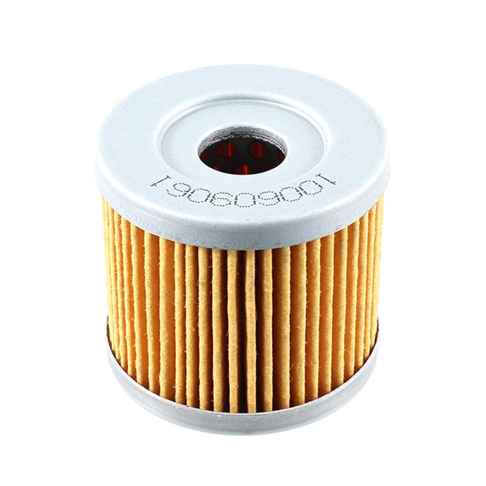 Oil filter Nypso Burgman >2000