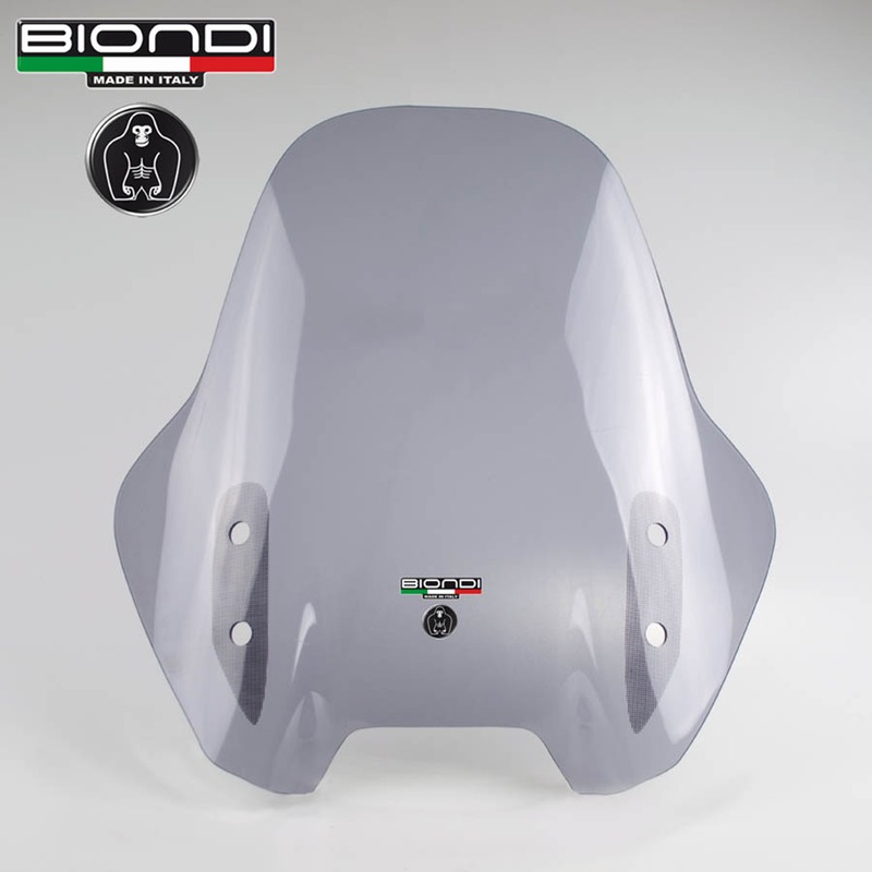 BIONDI WINDSHIELD KAWASAKI VERSYS 65010 FUME