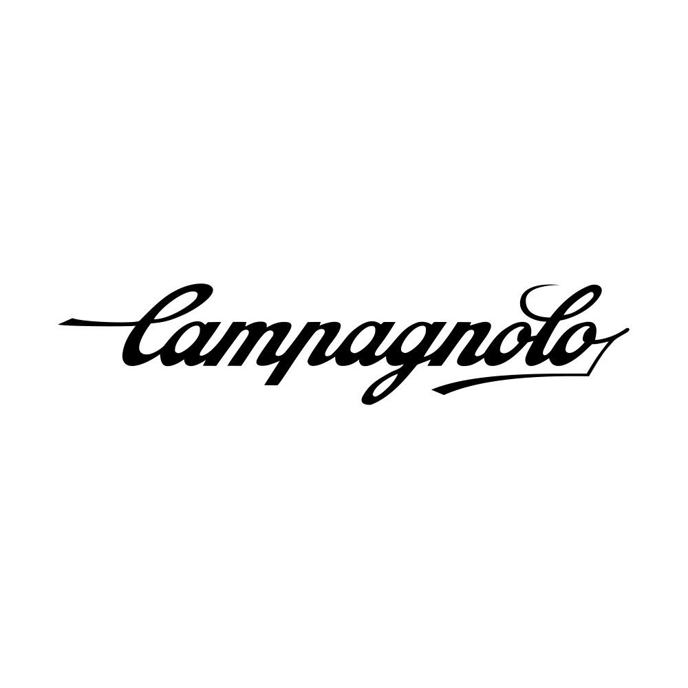 Campagnolo Corpetto in alluminio rinforzato ruote cremagliera d.33mm - Shimano 11v, FH-HGARE33