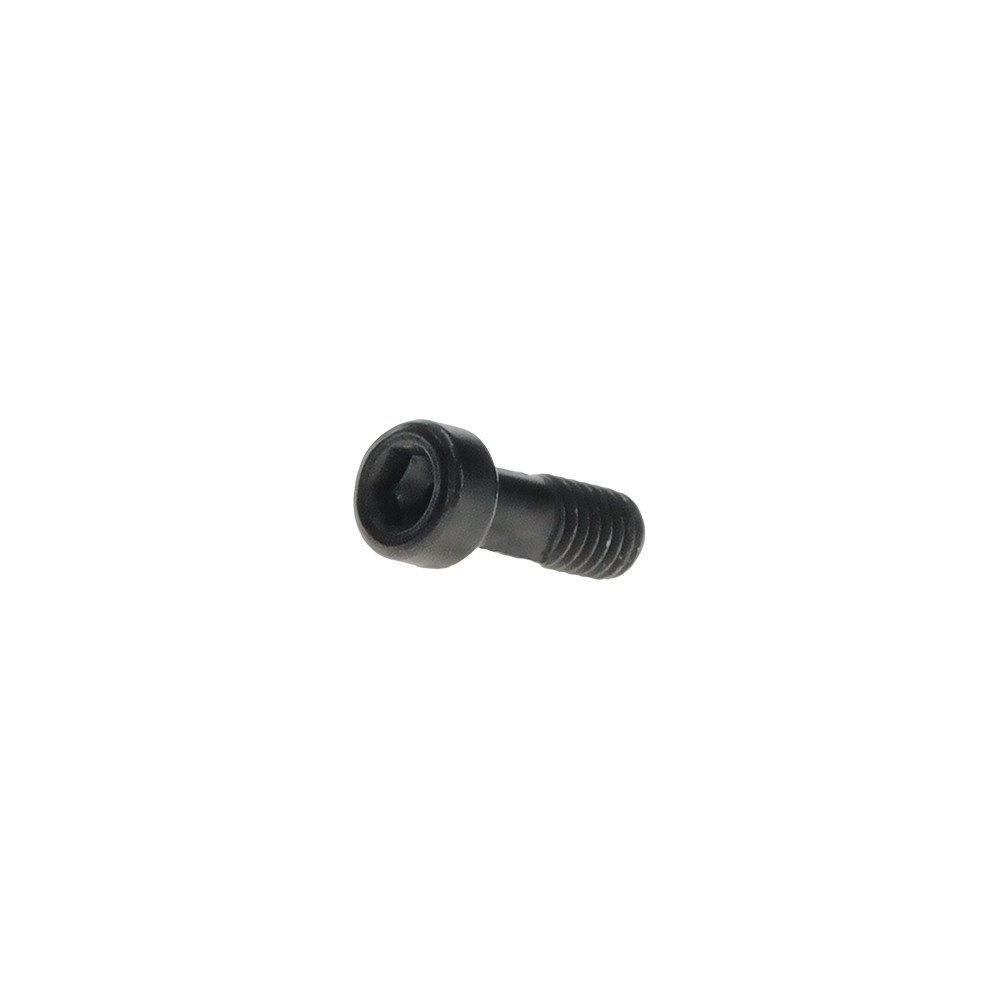 Bosch Purion 400 screw