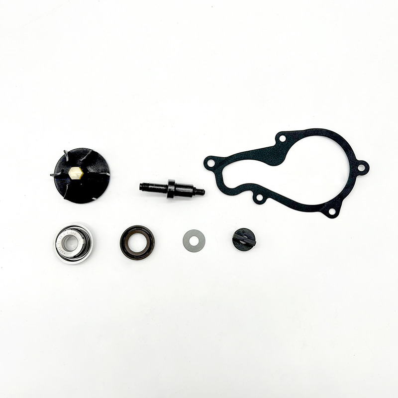 OKYAMI WATER PUMP REVISION KIT PIAGGIO BEVERLY 350 / X10