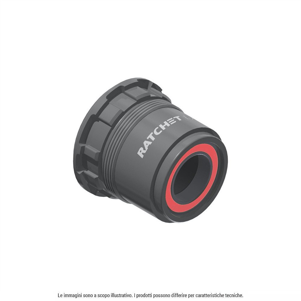Dtswiss Freehub body MTB Ratchet EXP - SRAM XD aluminum, steel bearing (without End Cap)