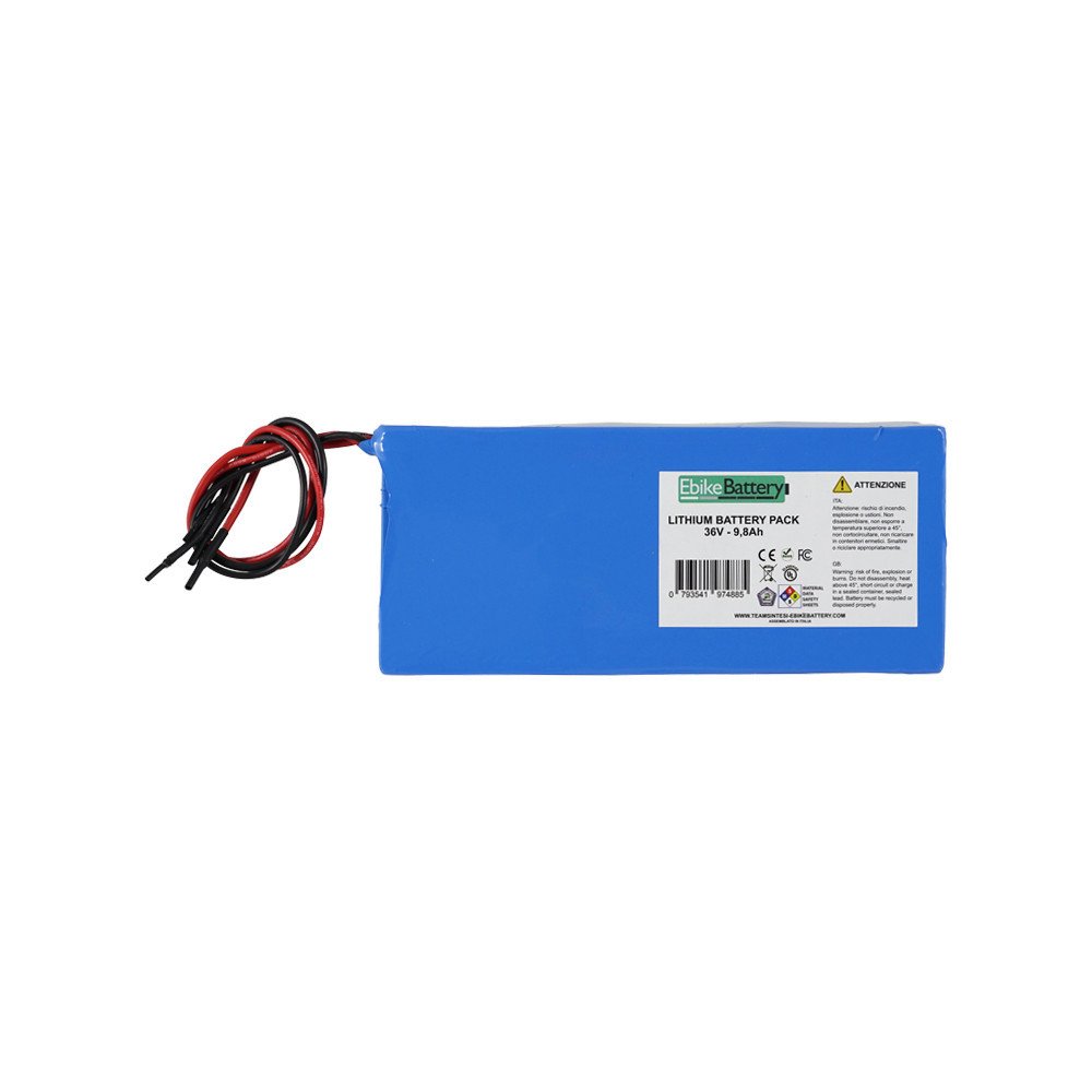 Ebike Battery Pacco batterie al litio per e-bike 36V 9,8Ah