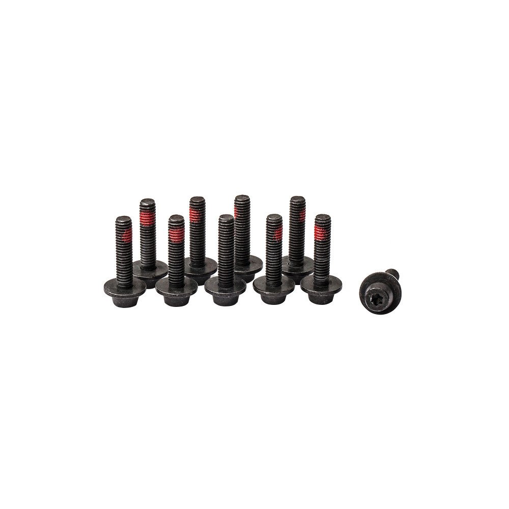 Magura CENTRAL FIXING BOLT EASY MOUNT ADAPTER M6, SW5, Torx T25 - 10 pcs