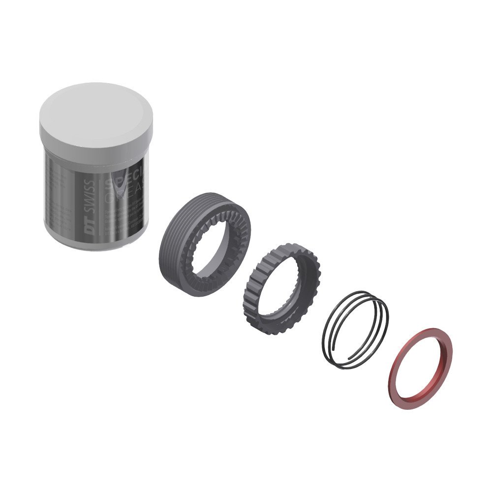 Dtswiss Kit Revisione Ratchet - 36D EXP (senza attrezzo)
