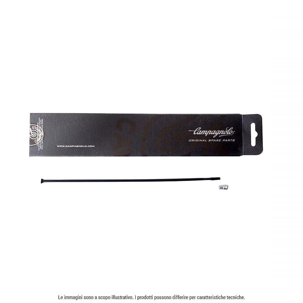 Campagnolo Raggio - WH-205SHB, anteriore per Shamal Ultra c17 e 2Way-Fit (1 pezzo)