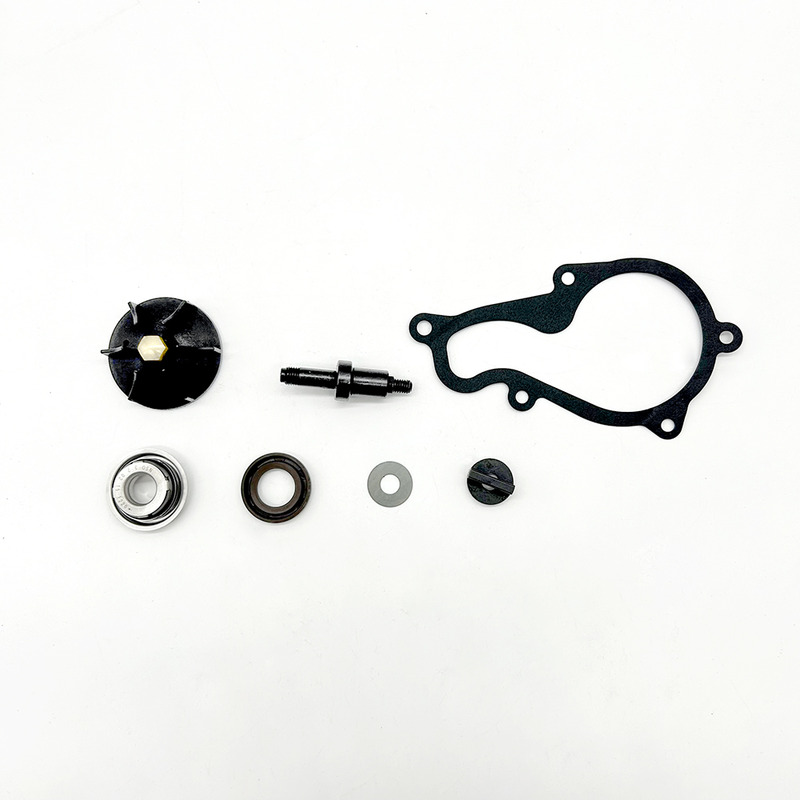 WATER PUMP REVISION KIT PIAGGIO BEVERLY 350 / X10