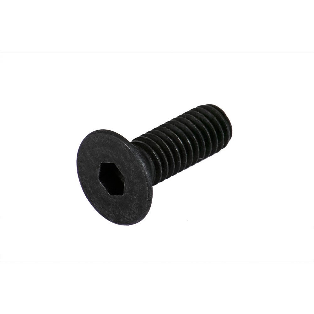  Fixing Screw for Cable Protector, Torx pan head screw M4x10