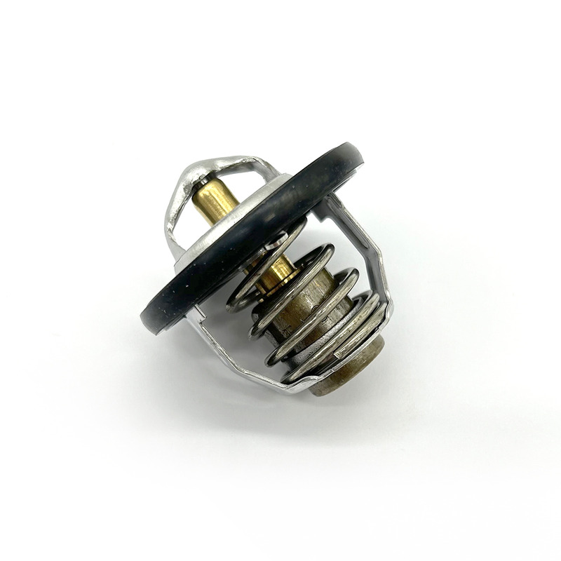 THERMOSTAT ASSY