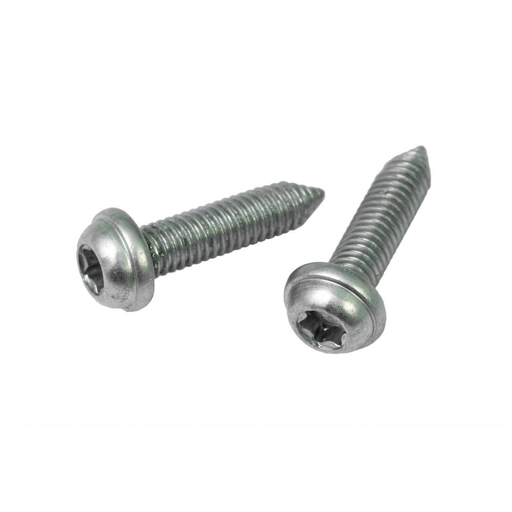  Set of Screws for Battery Holder, Torx pan head screw M3x12, 2 pieces